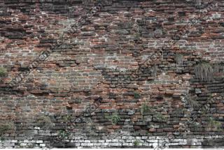 photo texture of wall brick overgrown 0003
